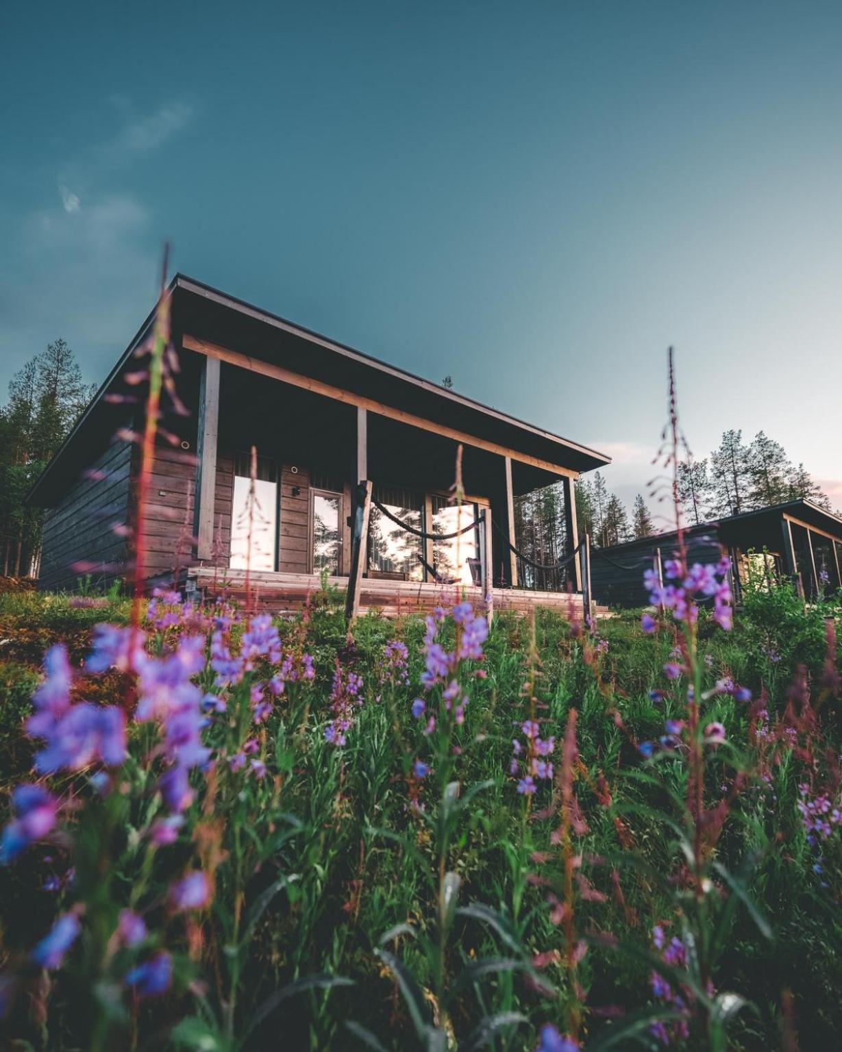 فندق Arctic TreeHouse روفانييمي المظهر الخارجي الصورة