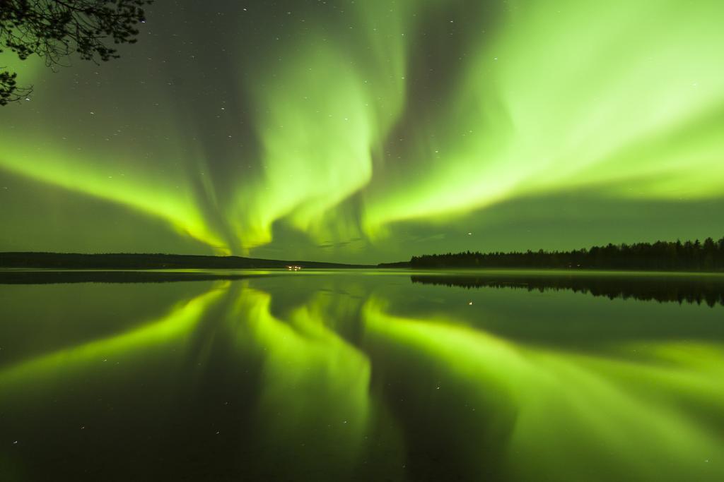 فندق Arctic TreeHouse روفانييمي المظهر الخارجي الصورة